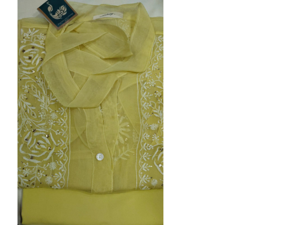 Organza Mukesh Emb Short Kurti 169268