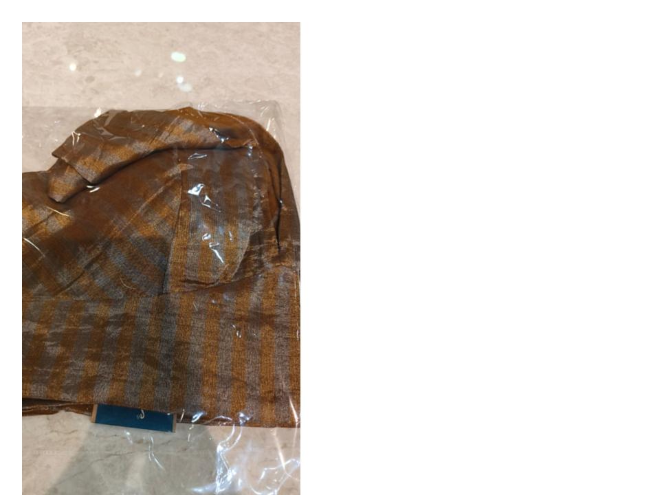 Chanderi tissue - bronze and silver Blouse
