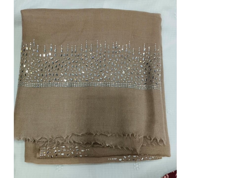Pashmina Stole 174428