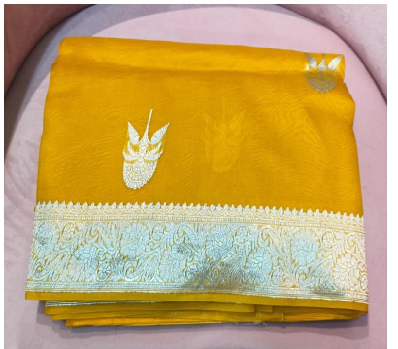Banarasi Organza Saree with petticoat