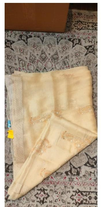 Organza Chikankari Saree with tassel Saree