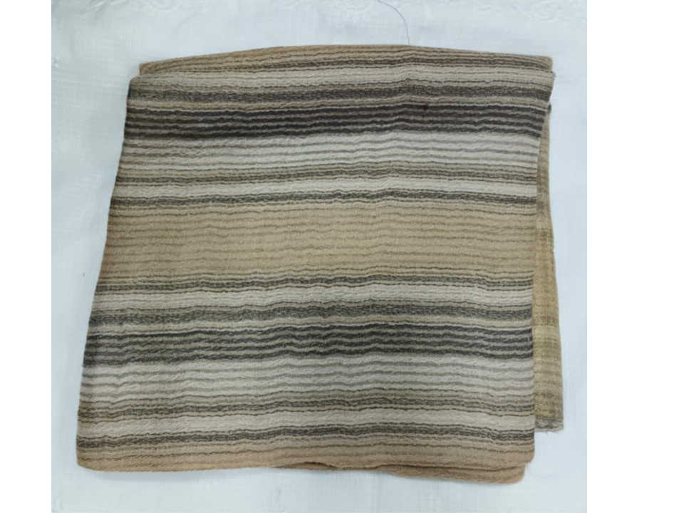 Pashmina Stole 174418