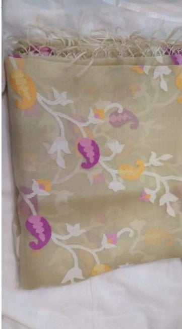 Jamdhani Cotton Saree