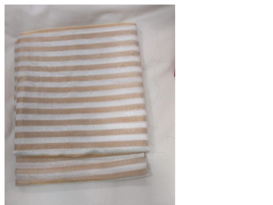 Chanderi Tissue Saree 172633