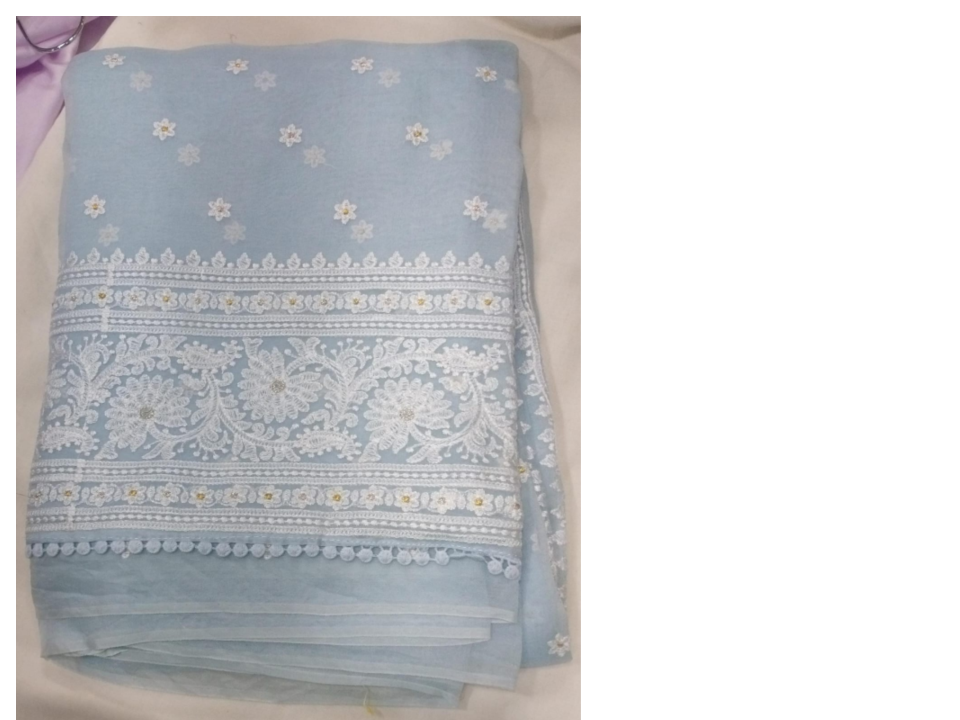 Organza Emb Butta Saree 171346