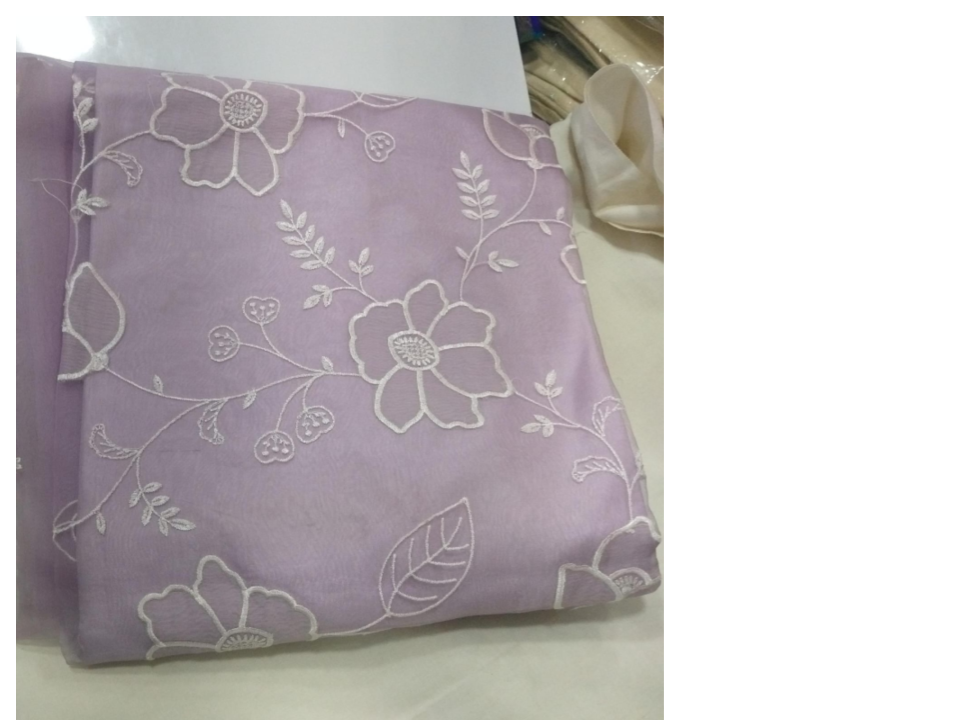 Emb Organza Saree 170099