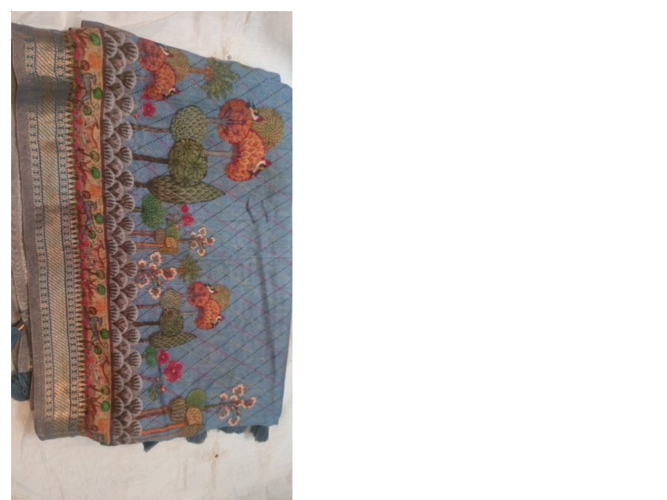 Chanderi Printed Dupatta